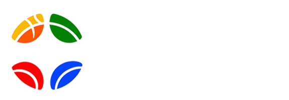 雨燕体育网直播网
